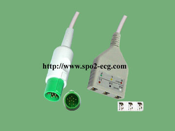 China 10 cable de la ventaja de la una pieza ECG del Pin para el monitor paciente antiinterferente proveedor